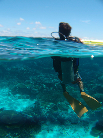 熊本のダイビングショップSEA REX！