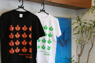 DIVING LIFESTYLE CREATOR