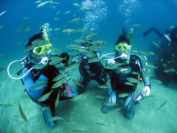 水中写真プレゼント！